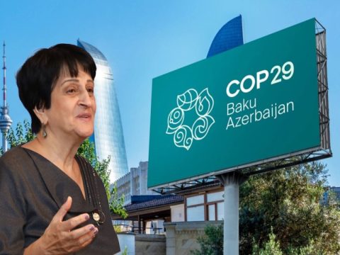 COP29-un uğurları